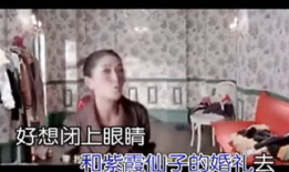 菠萝菠萝蜜视频,揭秘热带水果的神奇魅力